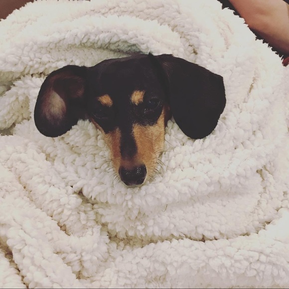 Meet your Posher, Desiree - Picture 1 of 1